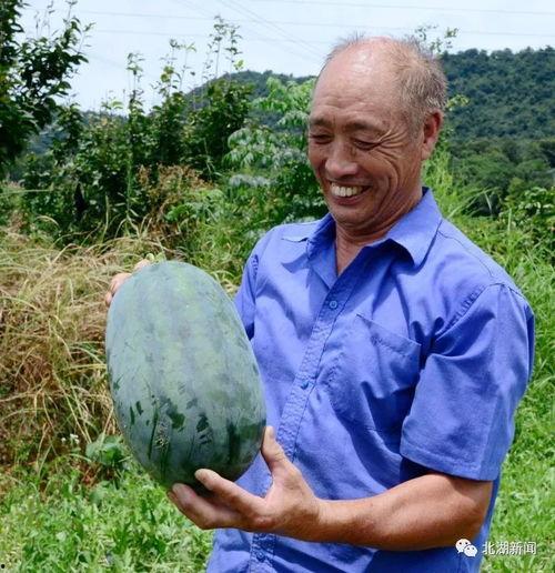 黑料吃瓜网apk普通安装  第2张