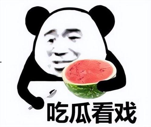 表情包大乱斗  第2张